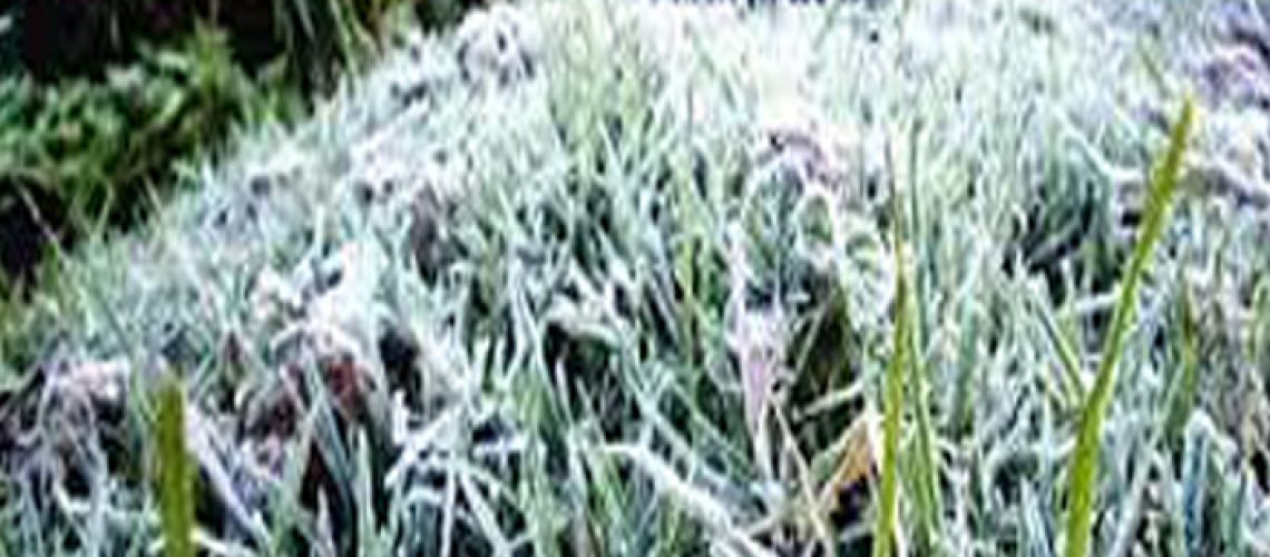 Untitled-1