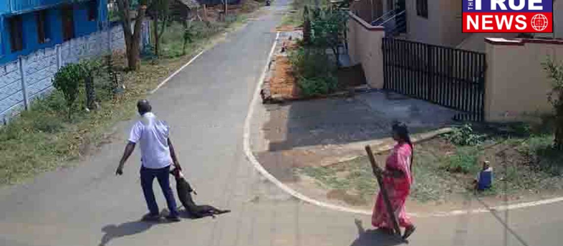 cbe-Dog-Viral-Video-